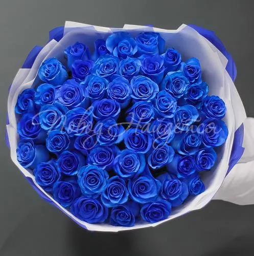 Синие розы Букет Тихая гавань