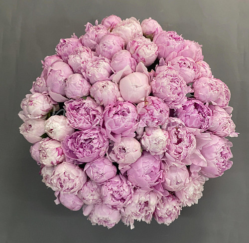 ПИОНЫ Букет Яркая энергия