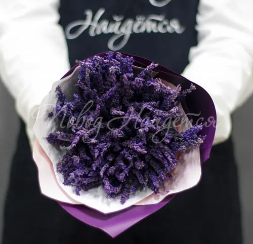 СухоЦветы Букет Горная лаванда