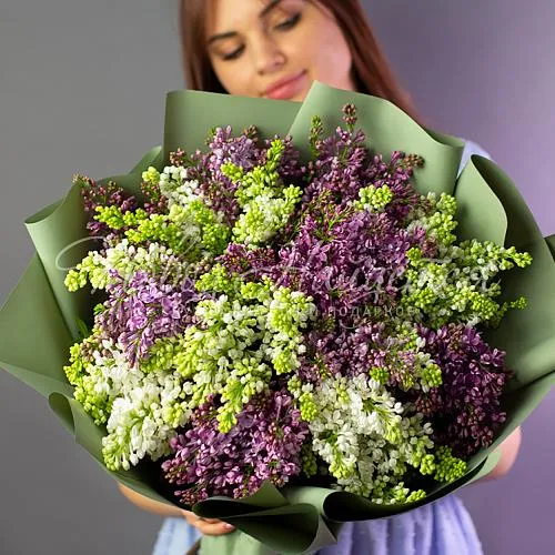 Цветы Букет Охапка сирени