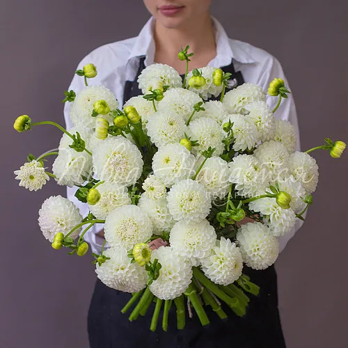 Цветы Букет По дороге к счастью