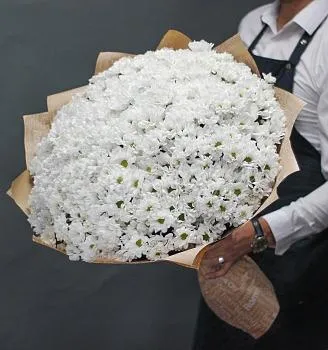 ХРИЗАНТЕМЫ Букет Взаимное притяжение