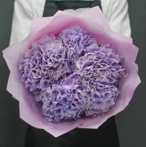 ГОРТЕНЗИИ Букет Ванесса