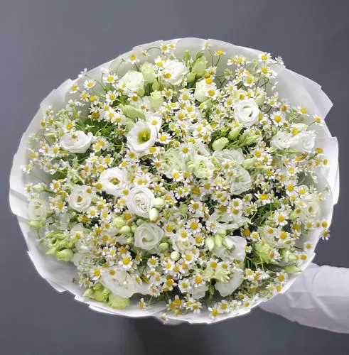 РОМАШКИ Букет Летний сезон