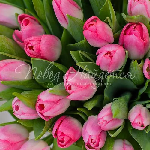 ТЮЛЬПАНЫ Букет 101 розовый тюльпан