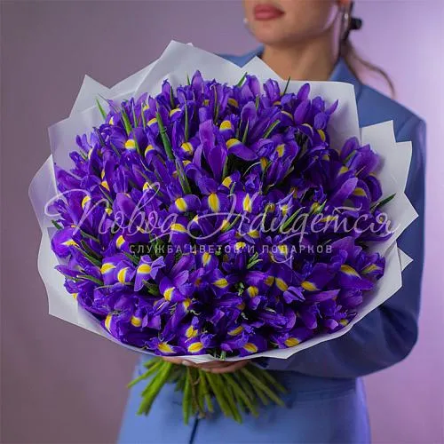 ИРИСЫ Букет 101 ирис