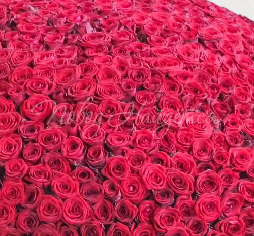 1001 роза Букет Дублин