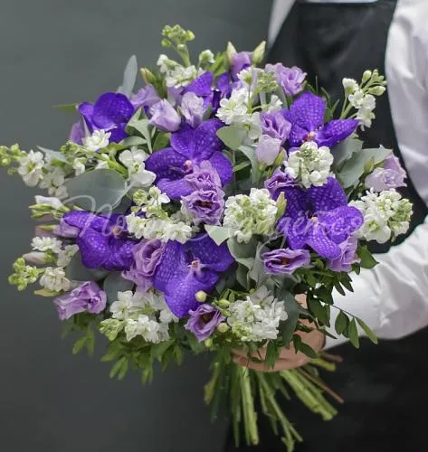 ОРХИДЕИ Букет Яркие бабочки