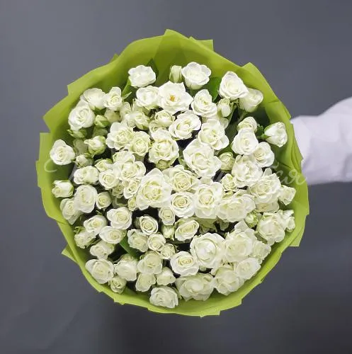 25 роз Букет Мифический