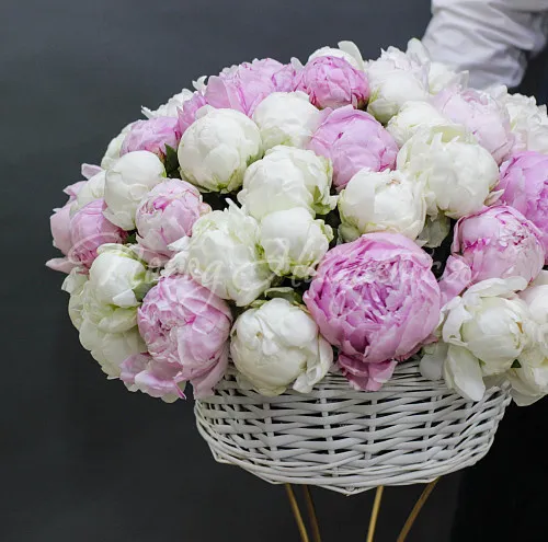 ПИОНЫ Букет Летние каникулы