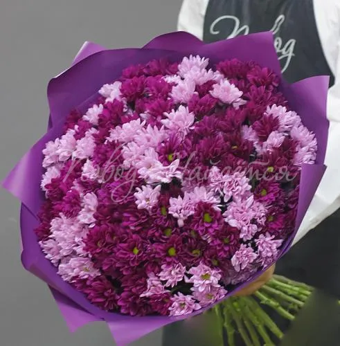 ХРИЗАНТЕМЫ Букет Малиновый закат