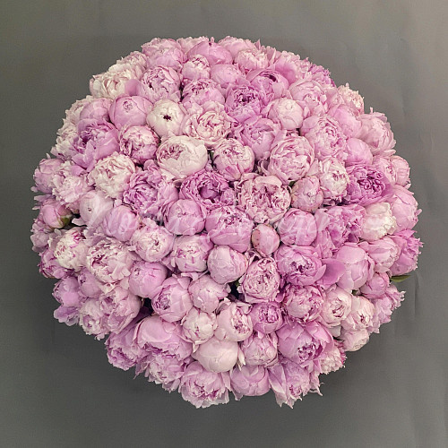 ПИОНЫ Букет Дорогое вино