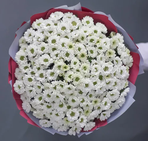 ХРИЗАНТЕМЫ Букет Прекрасная незнакомка