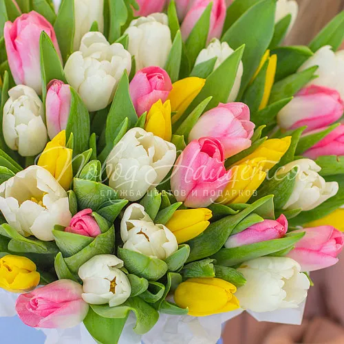 Моно Тюльпаны Букет Любимые веснушки