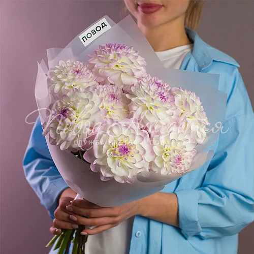 ГЕОРГИНЫ Букет Муза поэта