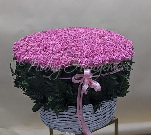 201 роза Букет История чувств