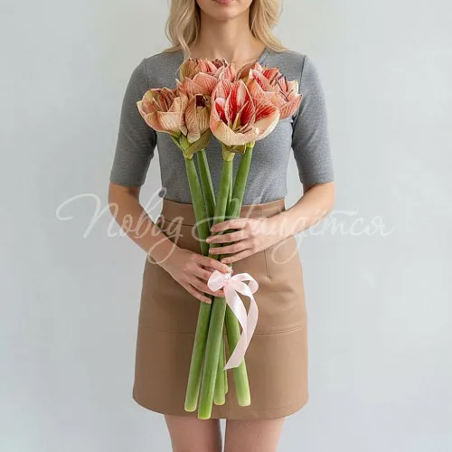 Цветы Букет Пудровое море