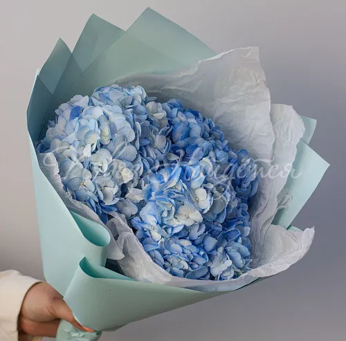 ГОРТЕНЗИИ Букет Морской ветер