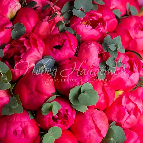 ПИОНЫ Букет Королевский пион