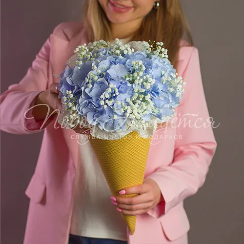 ГОРТЕНЗИИ Букет Черничный пломбир