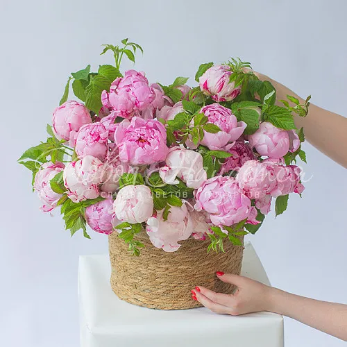 ПИОНЫ Букет Светлые мечты