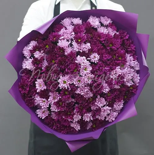 ХРИЗАНТЕМЫ Букет Малиновый закат