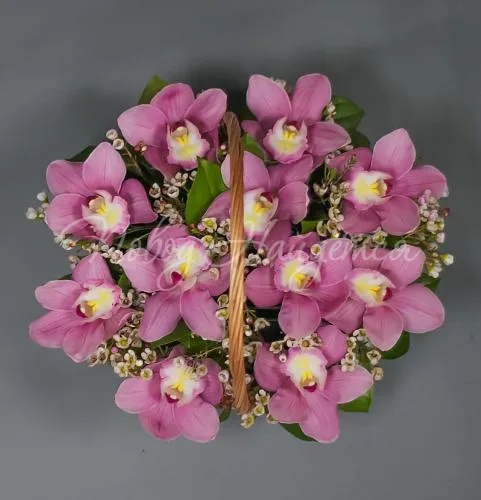 Корзины с орхидеями Корзина Тулуза