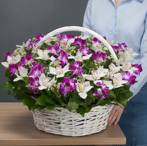 Корзины с орхидеями Корзина Токио