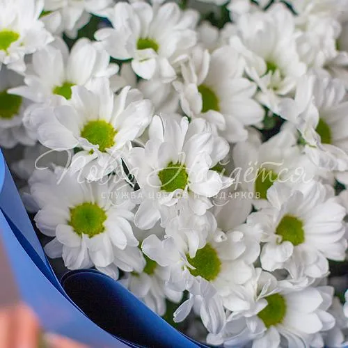 ХРИЗАНТЕМЫ Букет Белая фантазия