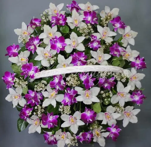 Корзины с орхидеями Корзина Токио