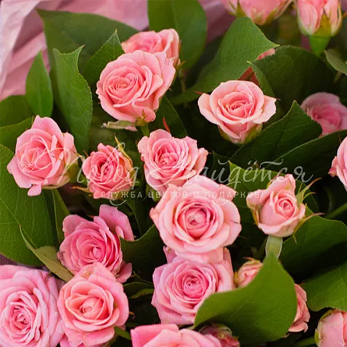 РОЗЫ Букет Прелесть