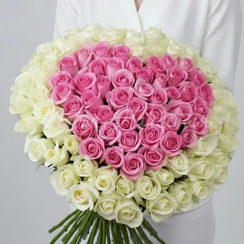 101 роза Букет Мелинда