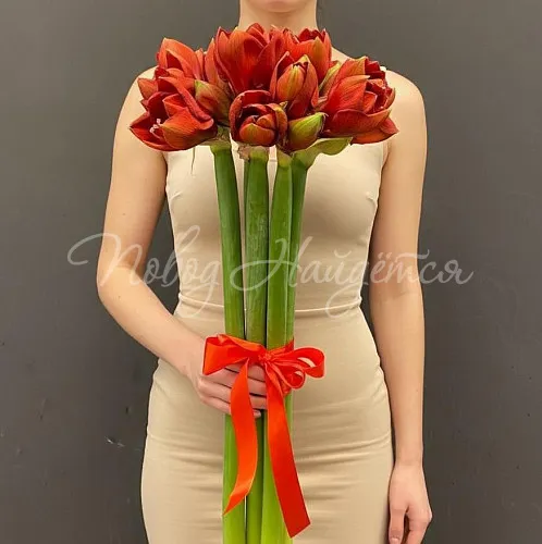 Цветы Букет 9 амариллисов