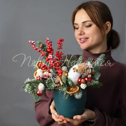 Новый год Холодная вьюга