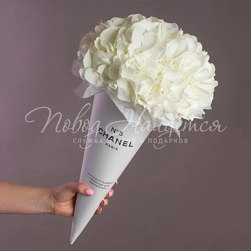 ГОРТЕНЗИИ Букет Кайлли