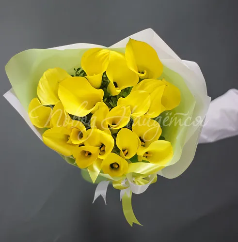 КАЛЛЫ Букет Ассоль