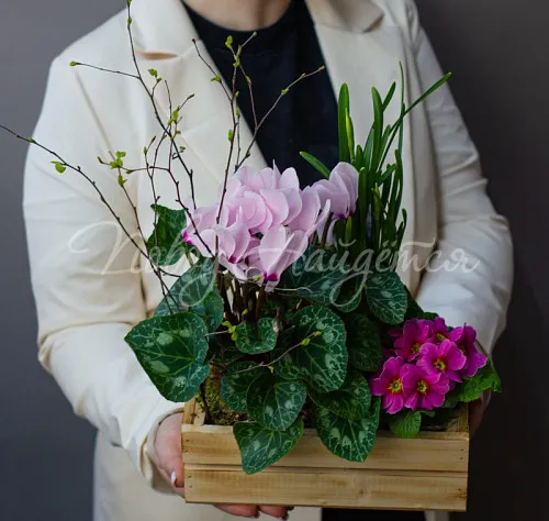 Цветы Букет Весенний сад малый