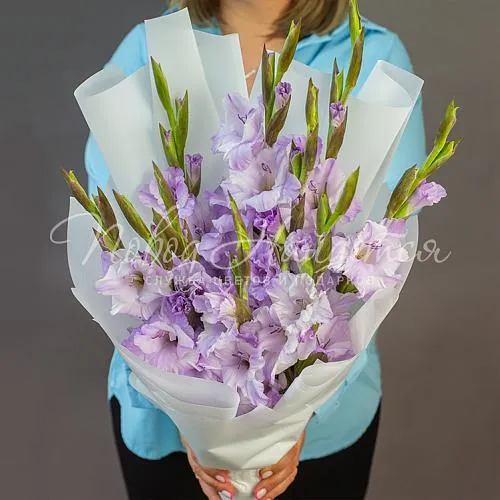 ГЛАДИОЛУСЫ Букет Ласковые намеки