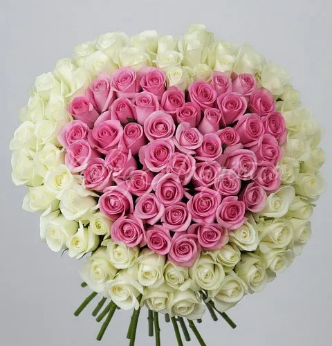 101 роза Букет Мелинда