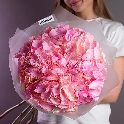 ГОРТЕНЗИИ Букет Клюквенный крамбл