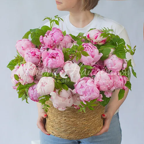 ПИОНЫ Букет Светлые мечты