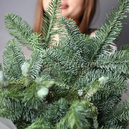 Новый год Букет Нобилиса