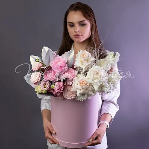 Франция Коллекция Эльзас