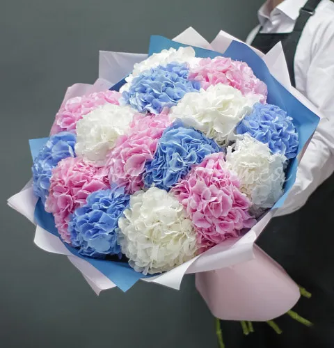 ГОРТЕНЗИИ Букет Нежные сны