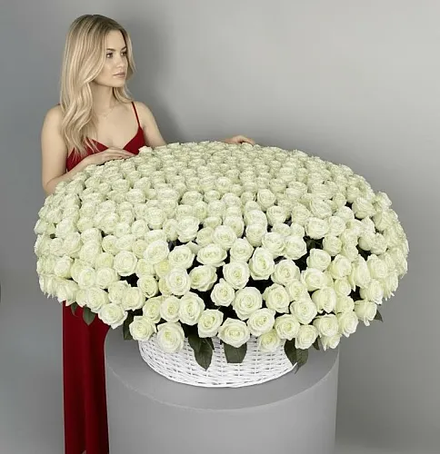 501 роза Букет 501 белая роза в корзине