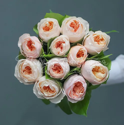 Пионовидные розы Букет Апрельское солнце