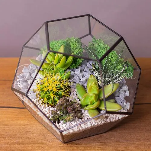 Зеленое Оазис дома