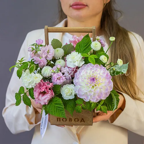 Цветы Букет Созерцая небо