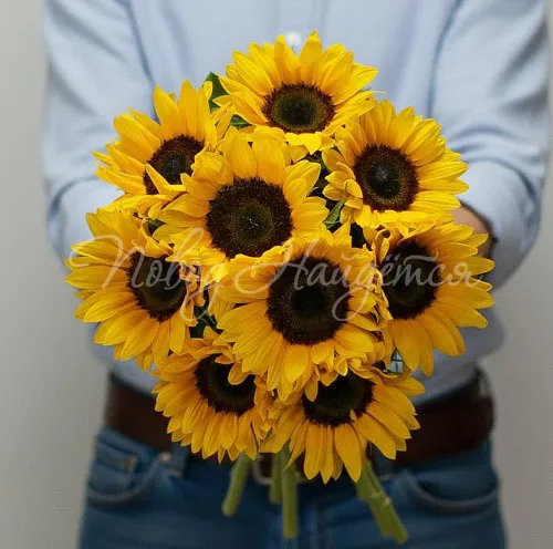 Цветы Букет Солнечные зайчики