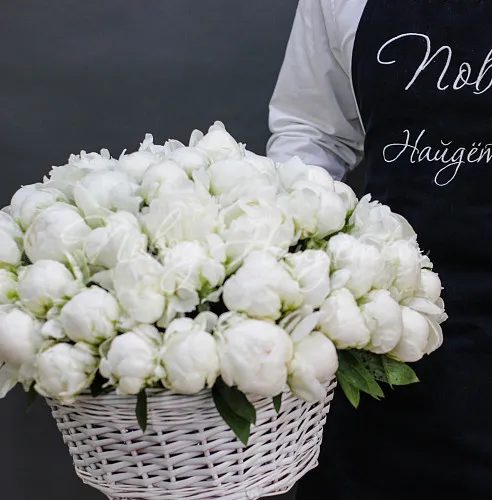 ПИОНЫ Букет Марсель